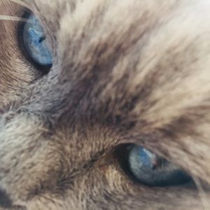 Meet your Posher, Mary